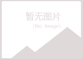 河南白山化学有限公司